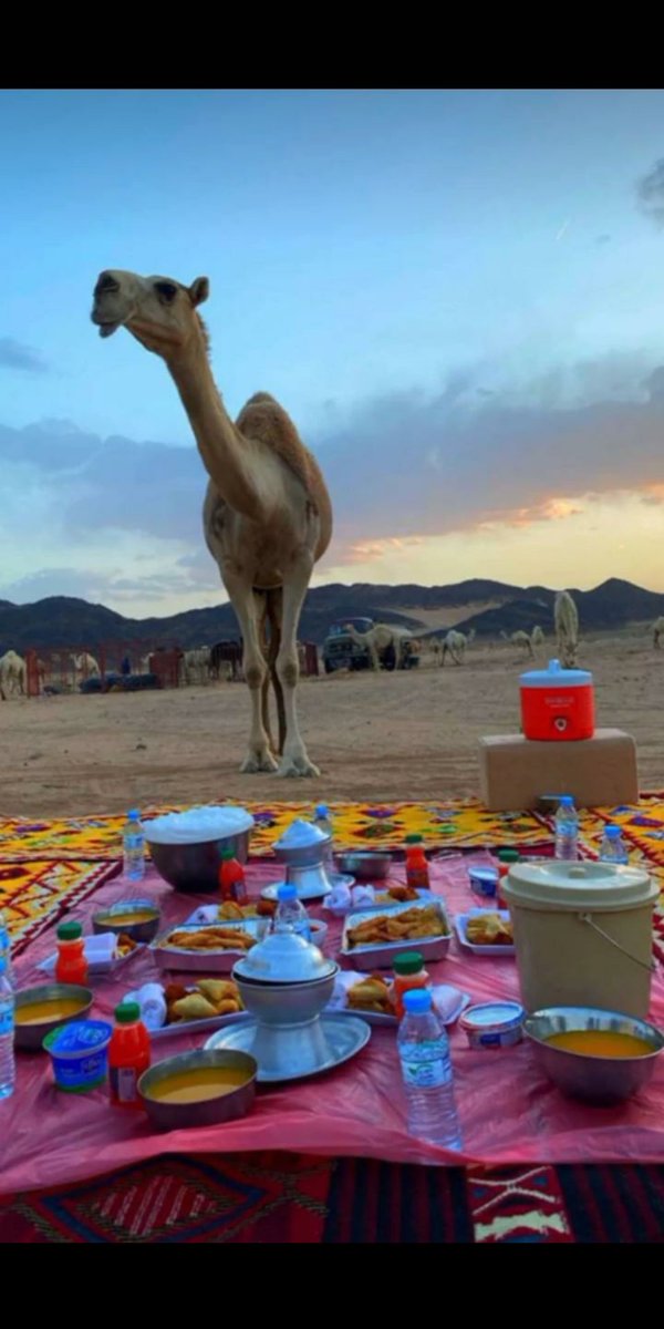 اللهمَّ إنك عفوٌ كريم تحب العفوَ فاعفُ عنا