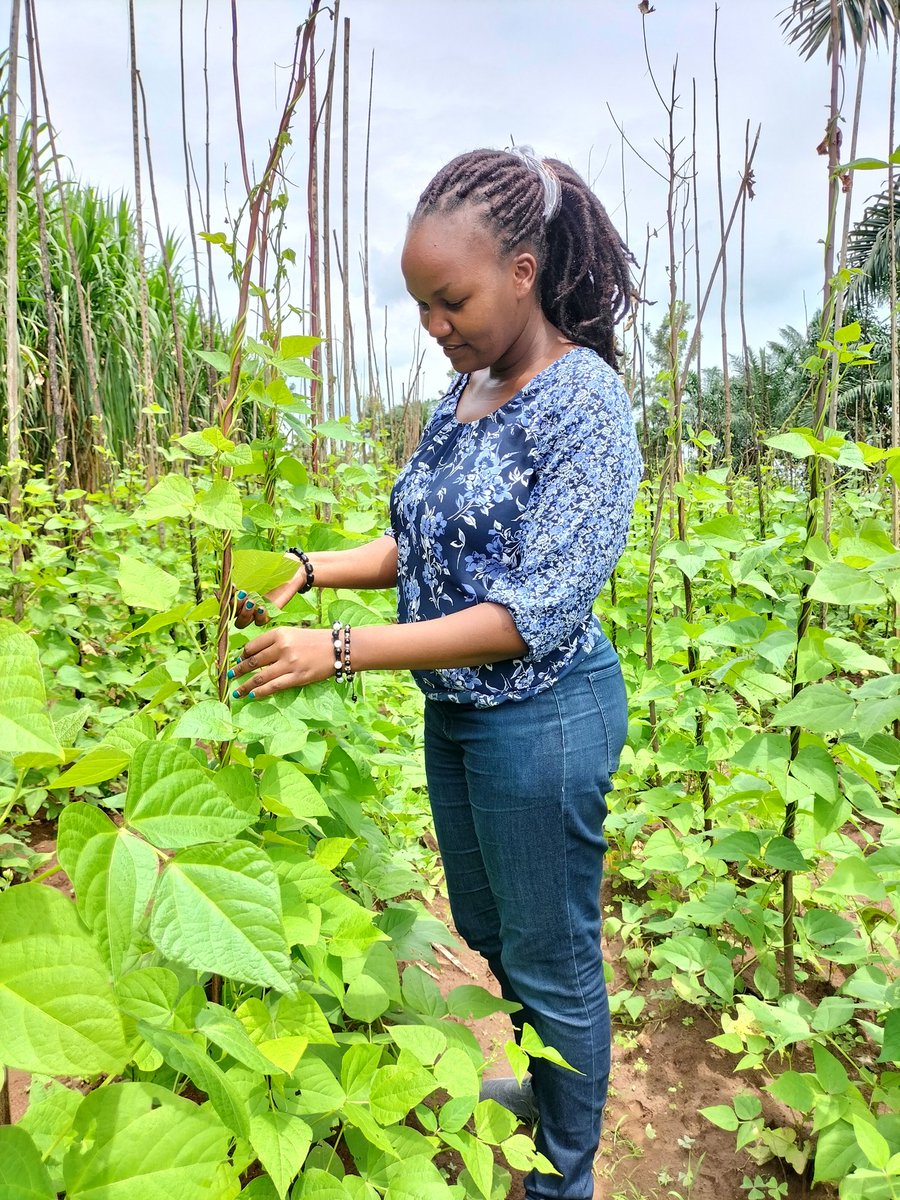 Irene Mughi tweet media