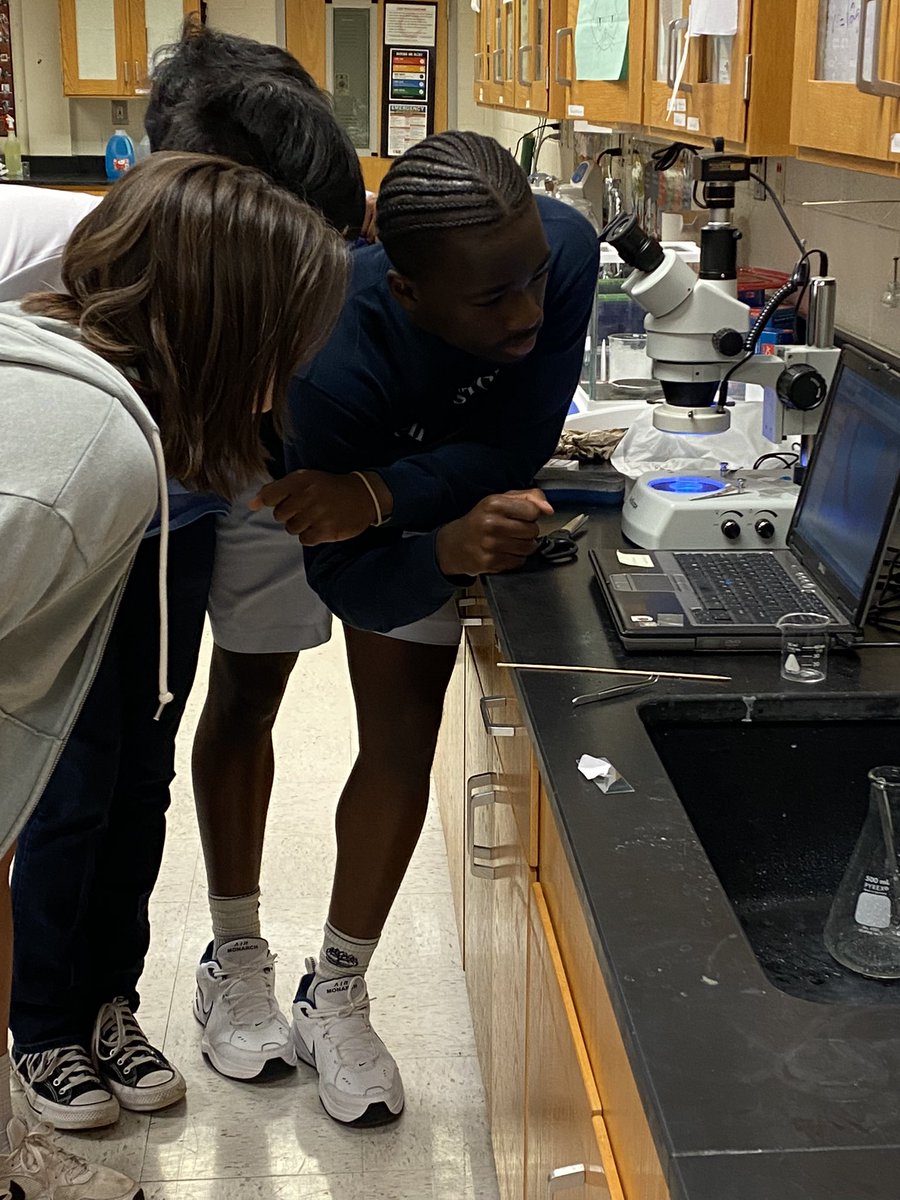 tnuhme's tweet photo. Dendritic growth of silver from liquid silver nitrate demonstrations today in #mse @KMHS_magnet  This pattern repeats across MANY areas of nature due to a common driving force - competition for resources. https://t.co/RgJSiYpnih