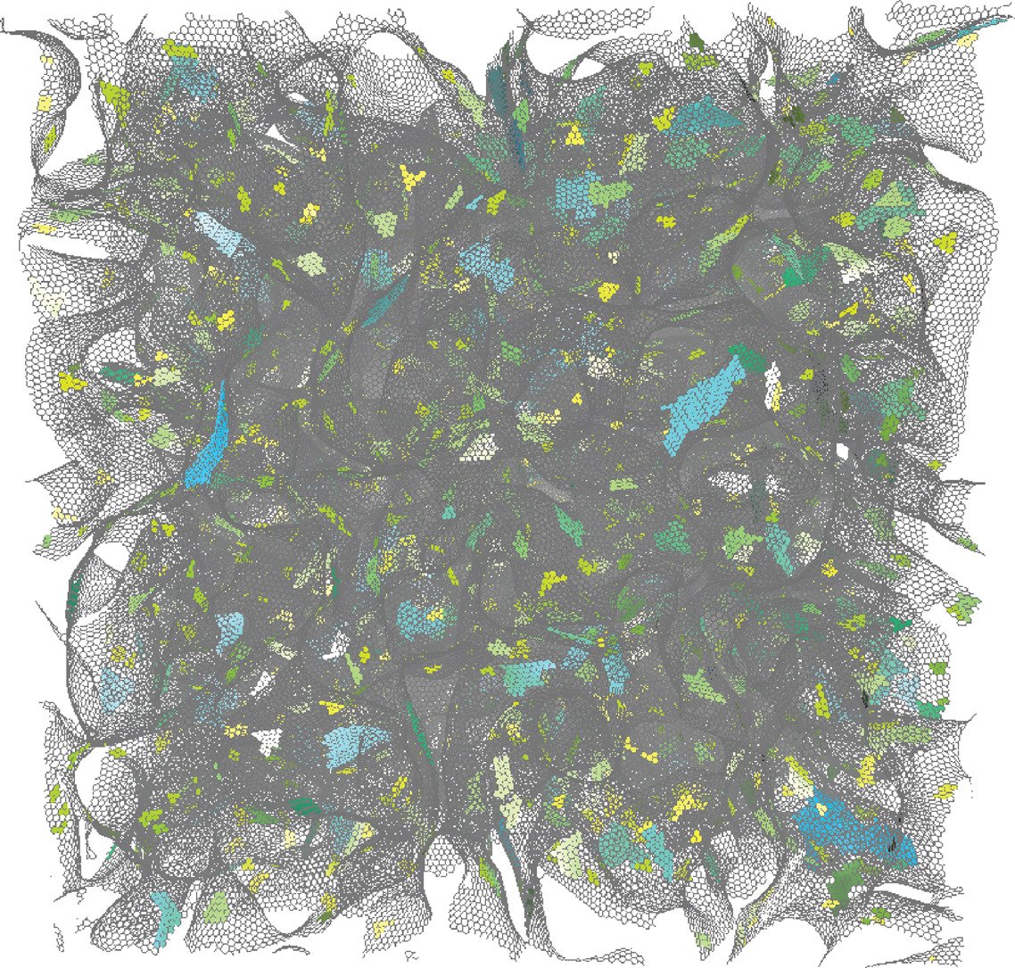 Here they are, graphene confetti! 🎊🎉Why do we care so much?