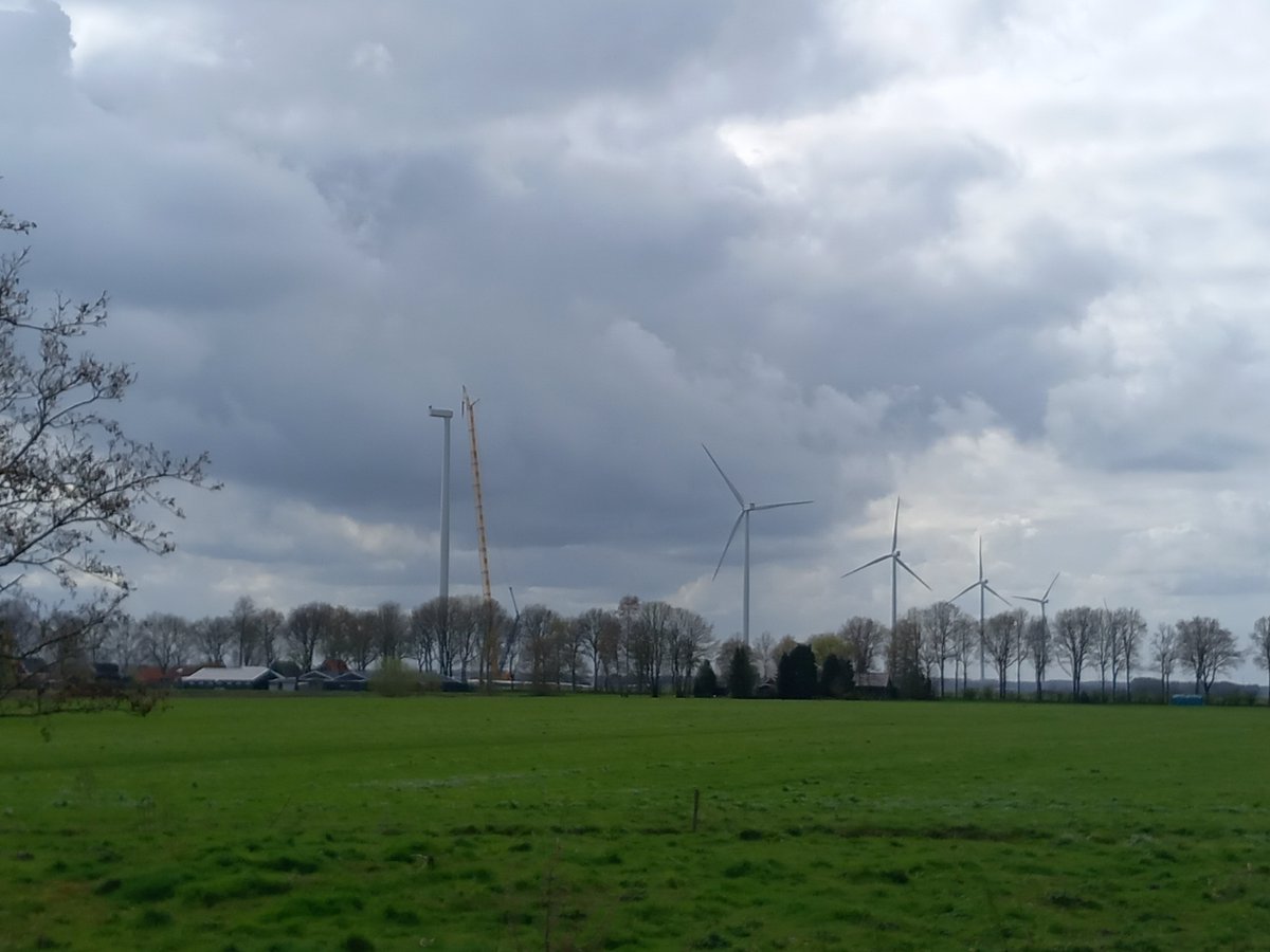 BreedeRodeKater tweet media