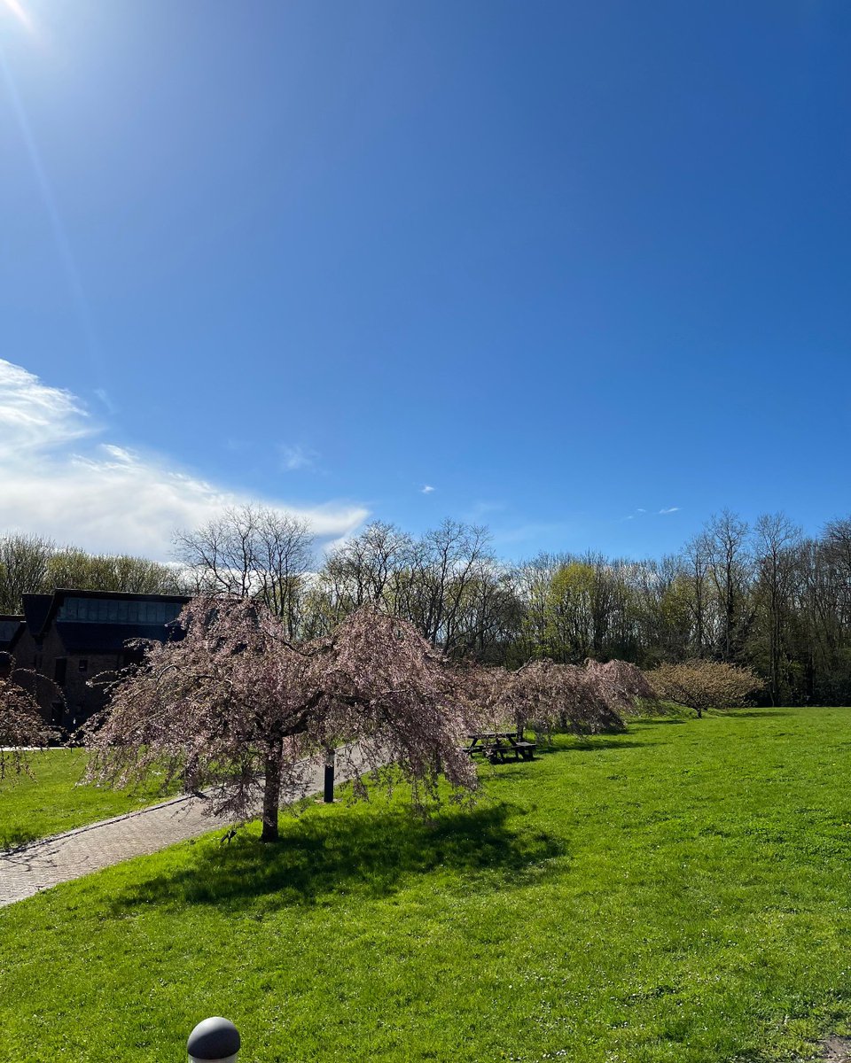 ChaucerCollege's tweet photo. 🌞😎 #ChaucerCollege https://t.co/f2Drm5bJia