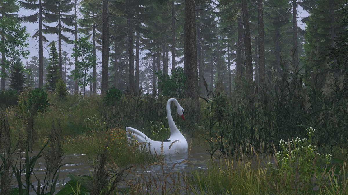 Solo Exploring

Live Now