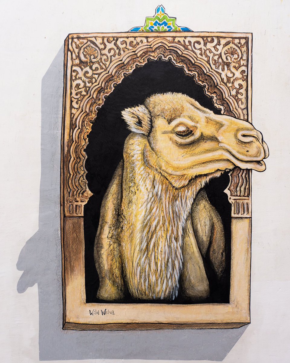 wildwelva's tweet photo. La prisa mata.
Tรกnger, Marruecos.
๐ช๐ช๐ช
.
#WildWelva #Tanger #Marruecos #Morocco #Tangier #publicart #artintervention #muralart #streetart #arteurbano #pasteup https://t.co/uxAHkf64Oo
