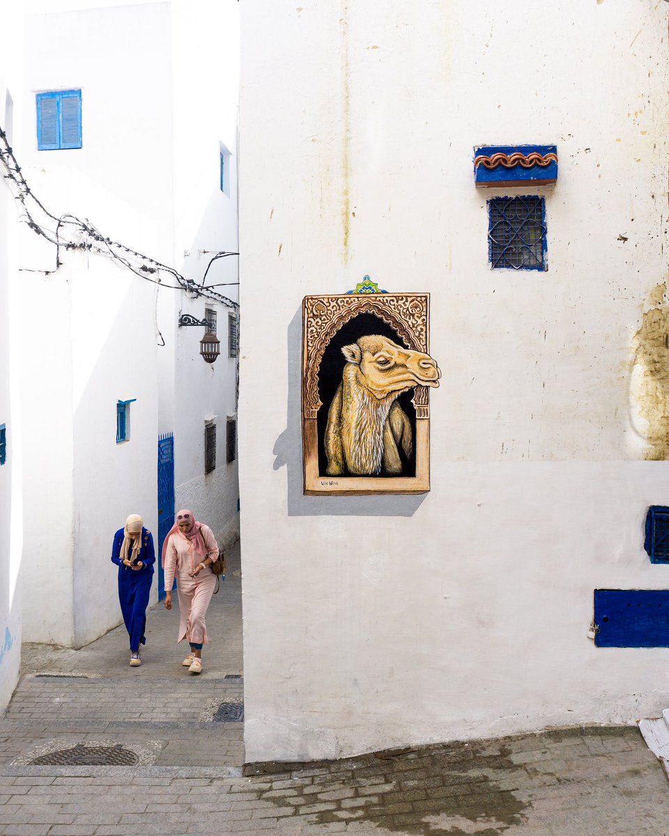 wildwelva's tweet photo. La prisa mata.
Tรกnger, Marruecos.
๐ช๐ช๐ช
.
#WildWelva #Tanger #Marruecos #Morocco #Tangier #publicart #artintervention #muralart #streetart #arteurbano #pasteup https://t.co/uxAHkf64Oo