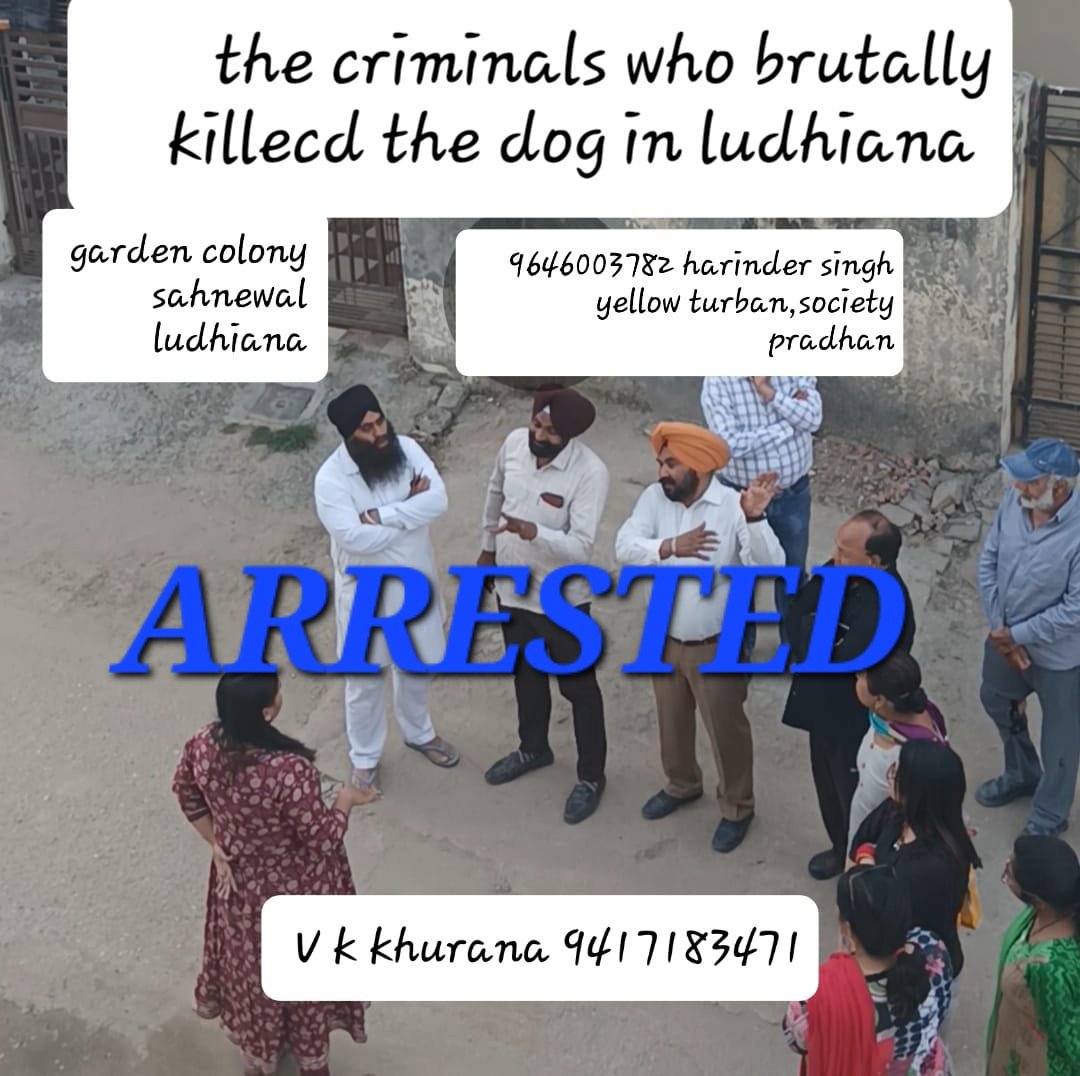 #arrested 
Thanks to reporter sukhpreet, mani of HFA and @pfaindia 
Fir has been registered the murderers were arrested this noon
#nomore50 #amendpca 
@joedelhi @office_das @payaldhawanTOI @pankhuripathak @PetaIndia @prapthi_m @TheViditsharma @tarana2510