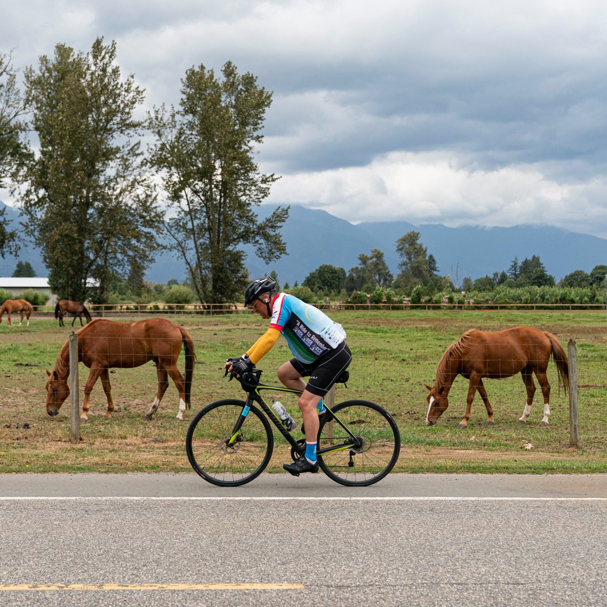 TourdeCureBC's tweet photo. Get ready to experience the beauty of the Fraser Valley 😍 Register for the Tour de Cure today: https://t.co/DnyI5d0R45 #BeyondEpic https://t.co/ELjcNLsXR0