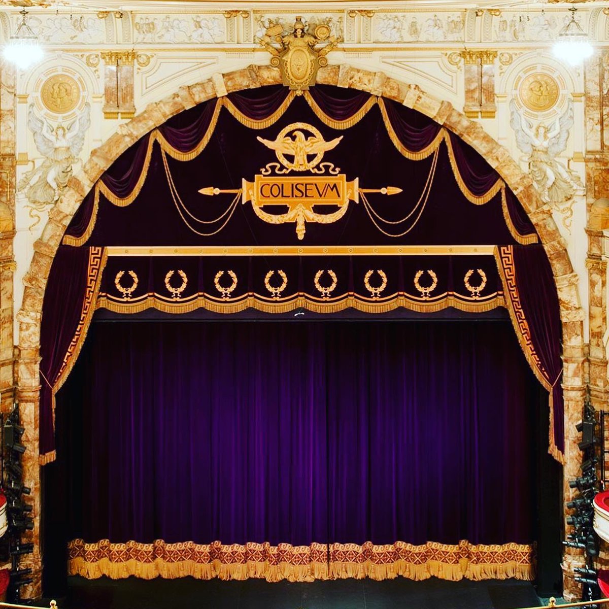 Elizabeth Lynch tweet media