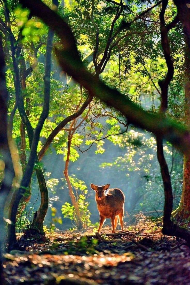 Cuidemos nuestras riquezas naturales.