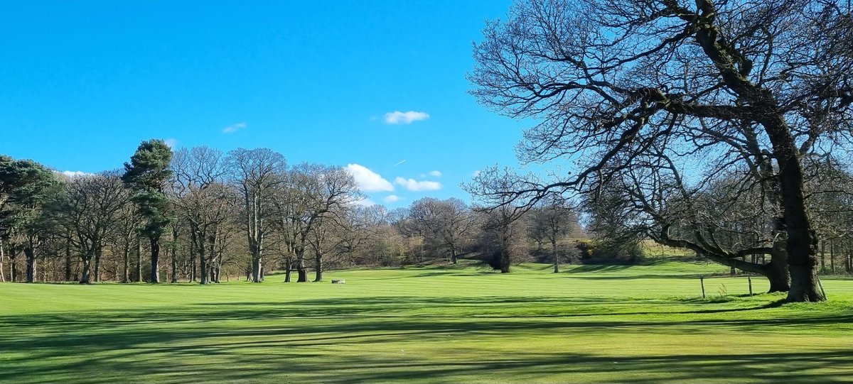 Early Spring at Dalmeny