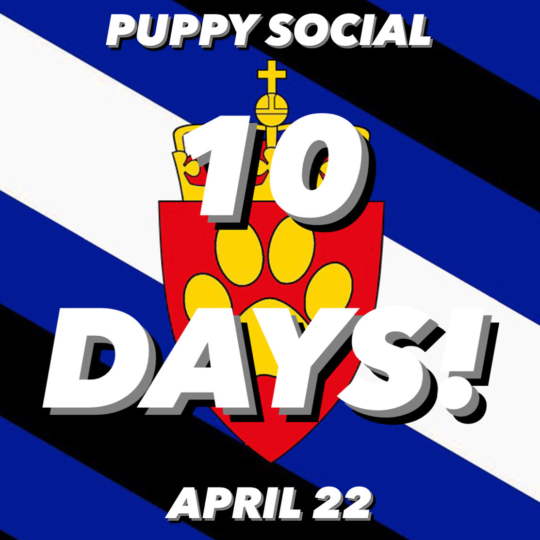 PupsOfNorway's tweet photo. Bow-WOW! It's already April, and the Puppy Social is just 10 days away! See you Saturday, April 22, at César Bar &amp; Café!

Learn more: https://t.co/glAFKPdJBo #pupsofnorway #puppyplay https://t.co/6qcoxYavLK