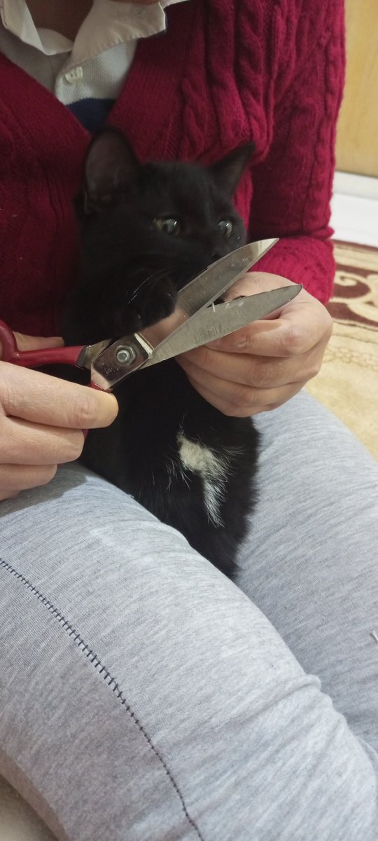 Tırnaklarımız uzundu annem tarafından halledildi :)