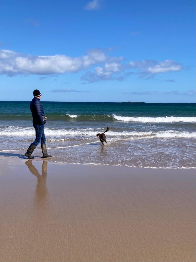 A Sprocker's Life For Me tweet media