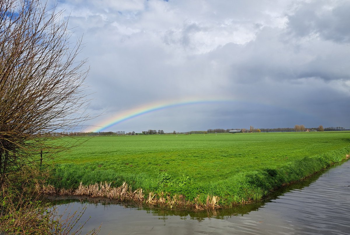 Regenbogen weer.