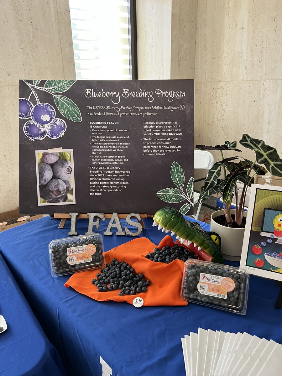 Blueberry Breeding π« (@bberrybreeding) on Twitter photo Educating is what we do! It is an important part of the job. Making sure that people understand the job of plant breeders, the complexity of flavor, and how we are using <a href="/AI/">anand iyer</a> to predict liking <a href="/UFPlantbreeding/">UF/IFAS-PlantBreeding</a> <a href="/UF_IFAS/">UF IFAS Solutions</a> <a href="/NAPlantBreeders/">NAPB</a> <a href="/lfelipeferrao/">Felipe FerrΓ£o</a> <a href="/MarcioResendeJr/">Marcio Resende</a> Educating is what we do! It is an important part of the job. Making sure that people understand the job of plant breeders, the complexity of flavor, and how we are using <a href="/AI/">anand iyer</a> to predict liking <a href="/UFPlantbreeding/">UF/IFAS-PlantBreeding</a> <a href="/UF_IFAS/">UF IFAS Solutions</a> <a href="/NAPlantBreeders/">NAPB</a> <a href="/lfelipeferrao/">Felipe FerrΓ£o</a> <a href="/MarcioResendeJr/">Marcio Resende</a>
