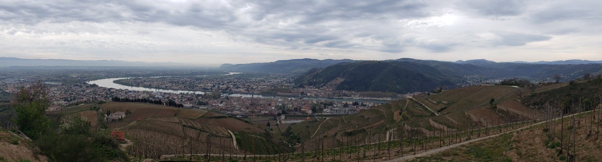 CellarAngels's tweet photo. The hillside vineyards of #Hermitage offer ideal sun exposure and drainage but require all work to be done by hand. Smaller yields result in intense flavor, making Hermitage wines some of the most highly prized in the world. 🍇🍷 

#travel #wine #winelover https://t.co/TV2lUUL6NE