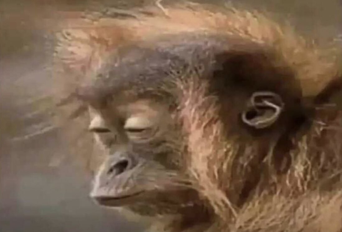 R2spi's tweet photo. Moi quand quelqu’un est en train de me donner conseil 😩 https://t.co/dfEDeJWKeD
