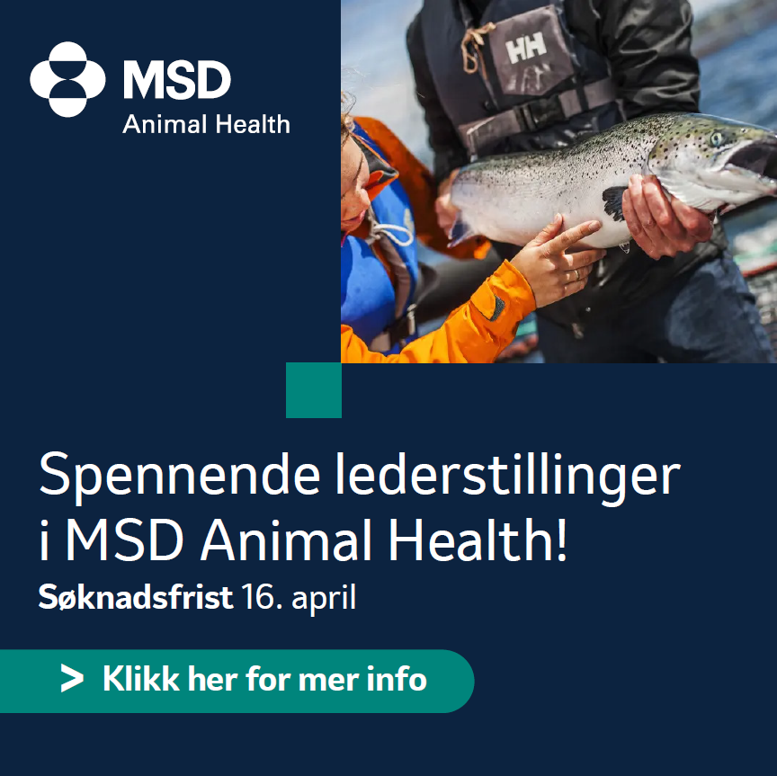 MSD Animal Health Aqua - EURAM tweet media