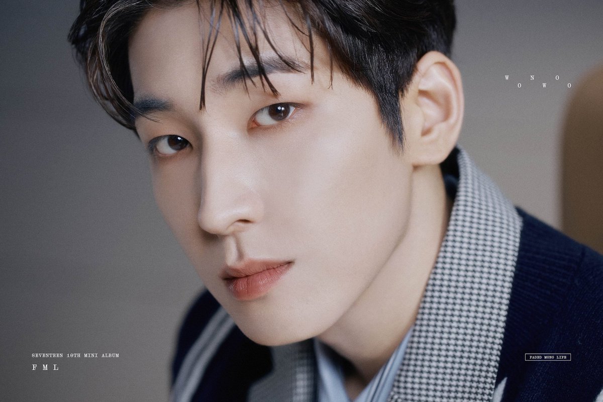 THE FACE CARD IS INSANE JEON WONWOO