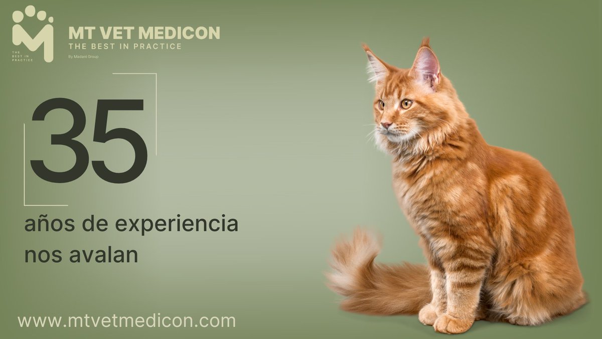 vet_mt's tweet photo. <<THE BEST IN PRACTICE>>
Más de 35 años de comercialización exitosa.
Mas información: 🌐 https://t.co/np4P2dDtFe
#veterinarios
#instrumental
#mascotas
#TheBestInPractice https://t.co/ZlzhKLQ3Fe