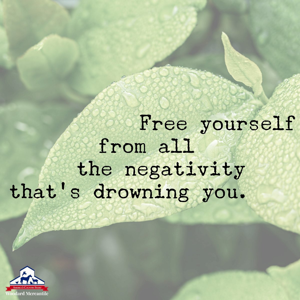 WoodMerc's tweet photo. #wisdomwednesday #woodardmercantile https://t.co/4q8pVQfqR1