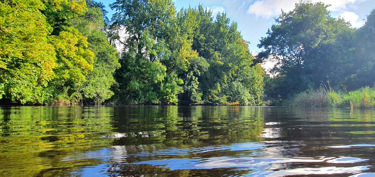 IrelandsEnviro's tweet image. The best legal instrument we have for water quality protection is an EU Directive called the #WaterFrameworkDirective. It requires that we reach good water status in all waterbodies by 2027 at the latest.