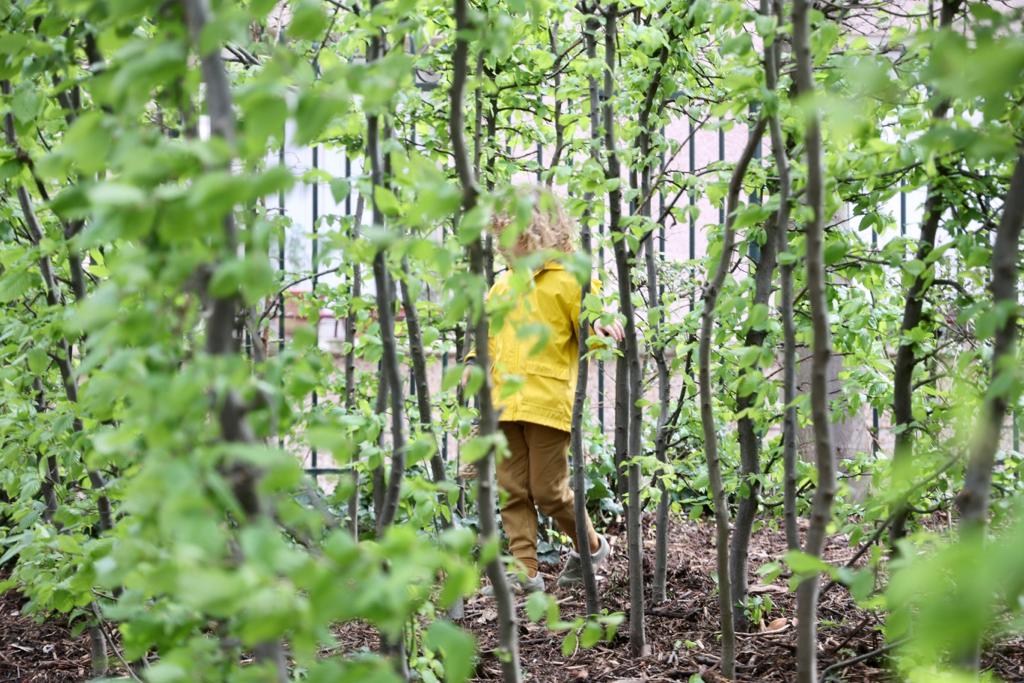 saintmande's tweet photo. 🥚🐰 🧺Grand succès pour la chasse aux oeufs dans le jardin Alexandra David-Neel cet après-midi !
Le Maire, @JulienWeil était heureux d'accueilir les nombreux enfants pour ce rendez-vous festif.
🌞 Même le soleil était de la fête ! Une belle journée à #saintmande. https://t.co/ZQ5SAi63sf