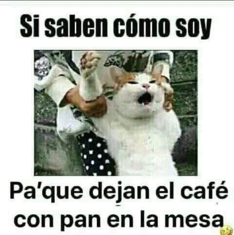 kaimza's tweet photo. @jlaracastro @vannina74 https://t.co/lbJH9qn4G7