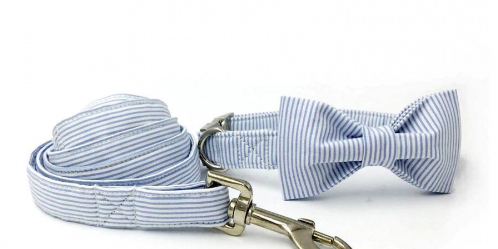 ForMyFurBuddy1's tweet photo. #doglife #catlover Blue Striped Dog or Cat Collar Set with Bowtie and Leash https://t.co/9N0WBjznyB https://t.co/w2Ib6qEIjw