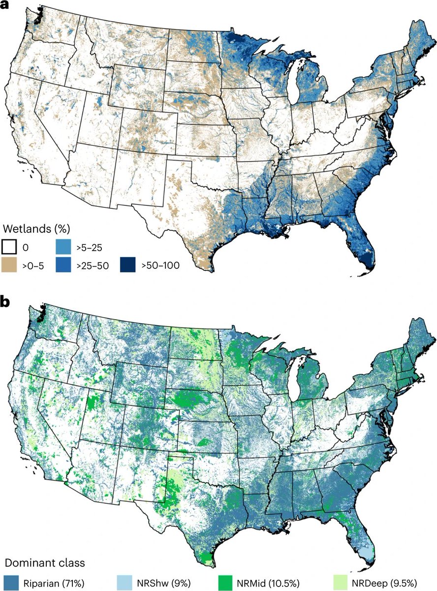 Recent work suggests that we should boost wetland area, regardless of connectivity, to limit NO3 pollution to waterways. Essentially, the wetland connectivity classes (map below) did not vary in their capacity to remove #nitrogen pollution. 
nature.com/articles/s4422…