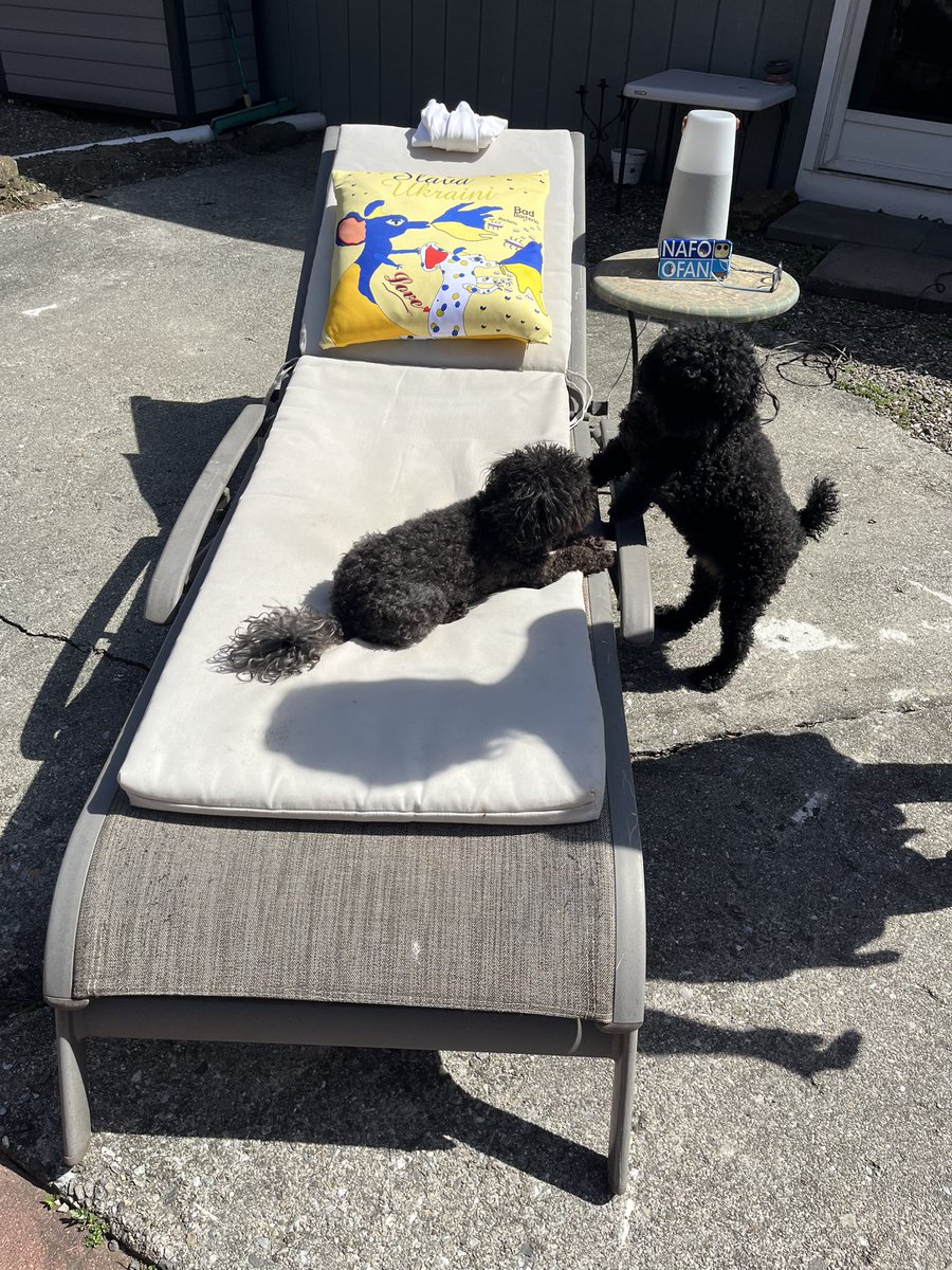 Abbeth's tweet photo. @DayTripperDiva @Edythas3Edythas @dentremontem @trajaykay @Harri_Est
Thank you for the pillow cover. The Pupsters love it too. And to @Official_NAFO π«‘ my phone case arrived. #casecomplete Is that a thing? https://t.co/qwiCrFfp6N