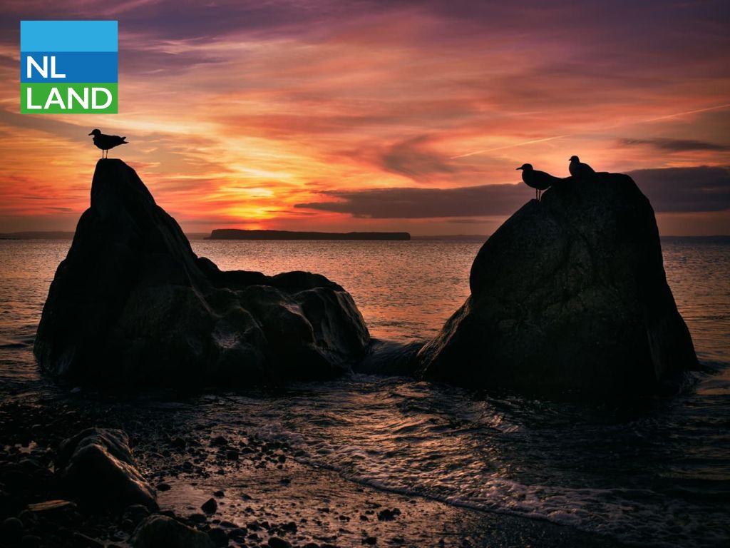 NLLandCanada's tweet photo. A stunning sunset at Topsail Beach - Newfoundland is a scenic wildlife haven. Build your dream home: https://t.co/xmV4bjmh7Y
๐ธ@nicolee024
#sunset #internationaldayofpink #topsailbeach #newfoundland #canada #explore #travel #dreamhome #property #propertyca https://t.co/YQm4Gqdv2i