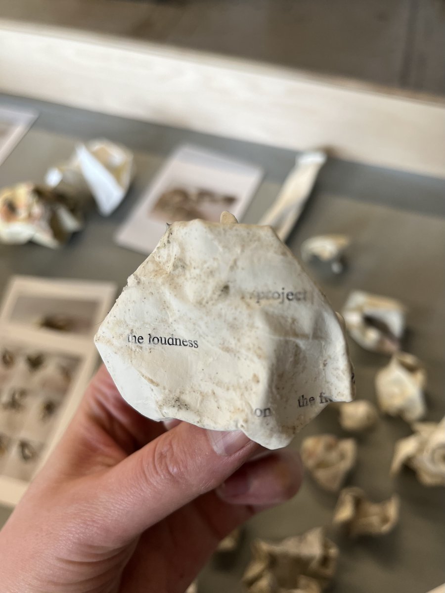 Klara du Plessis tweet media