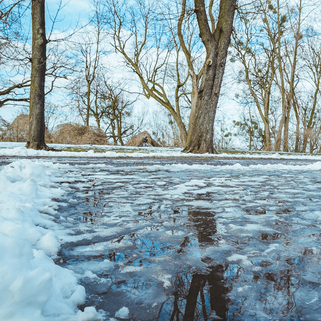 QUICKDAM's tweet photo. Spring thawing 🌱 (snow and frozen grounds melting in the spring) can cause flooding. Make sure you have your Quick Dam’s product on hand to protect your home or property. 🛡️
#quickdam #spring #springmelt #flood #water #beprepared #flooding https://t.co/Wr2stxI6Jg