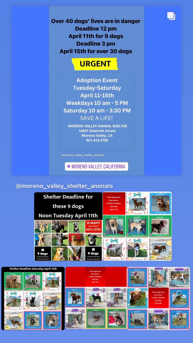 Pet adoption event - shelter over capacity. Come save a life! inlandempire.craigslist.org/vnn/d/moreno-v…