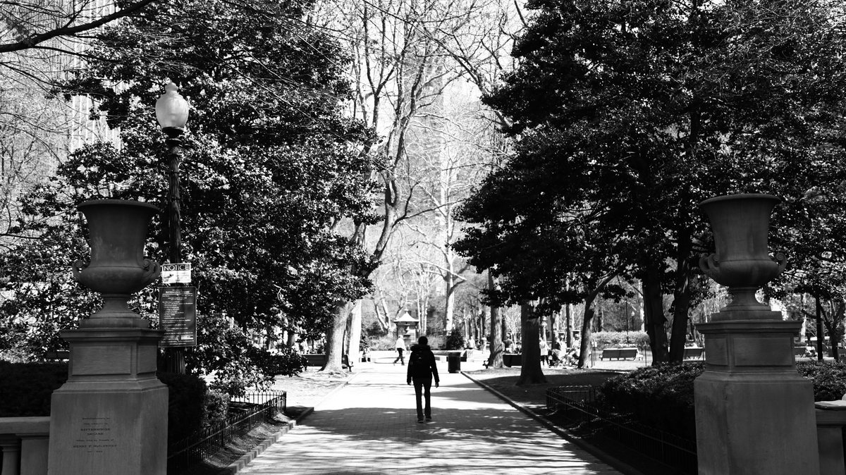dwaynealistair's tweet photo. Rittenhouse Square https://t.co/RfZvEA2l9r