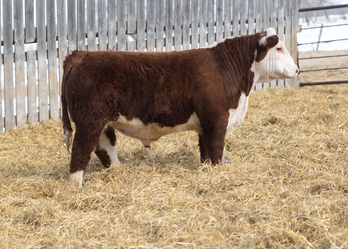 Steven Manns tweet media