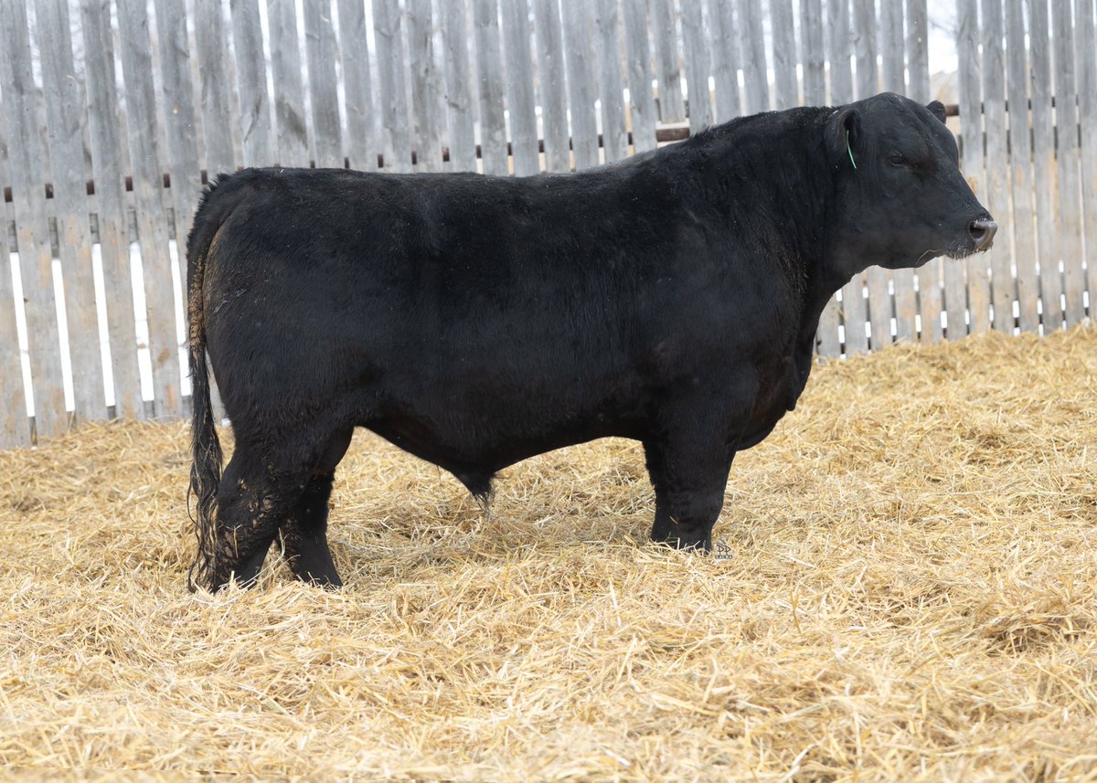 Steven Manns tweet media