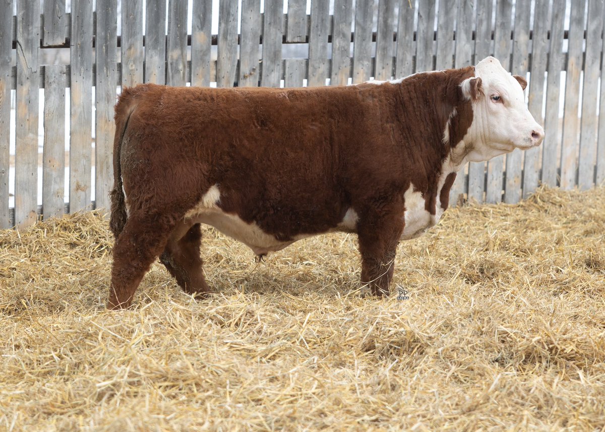 Steven Manns tweet media