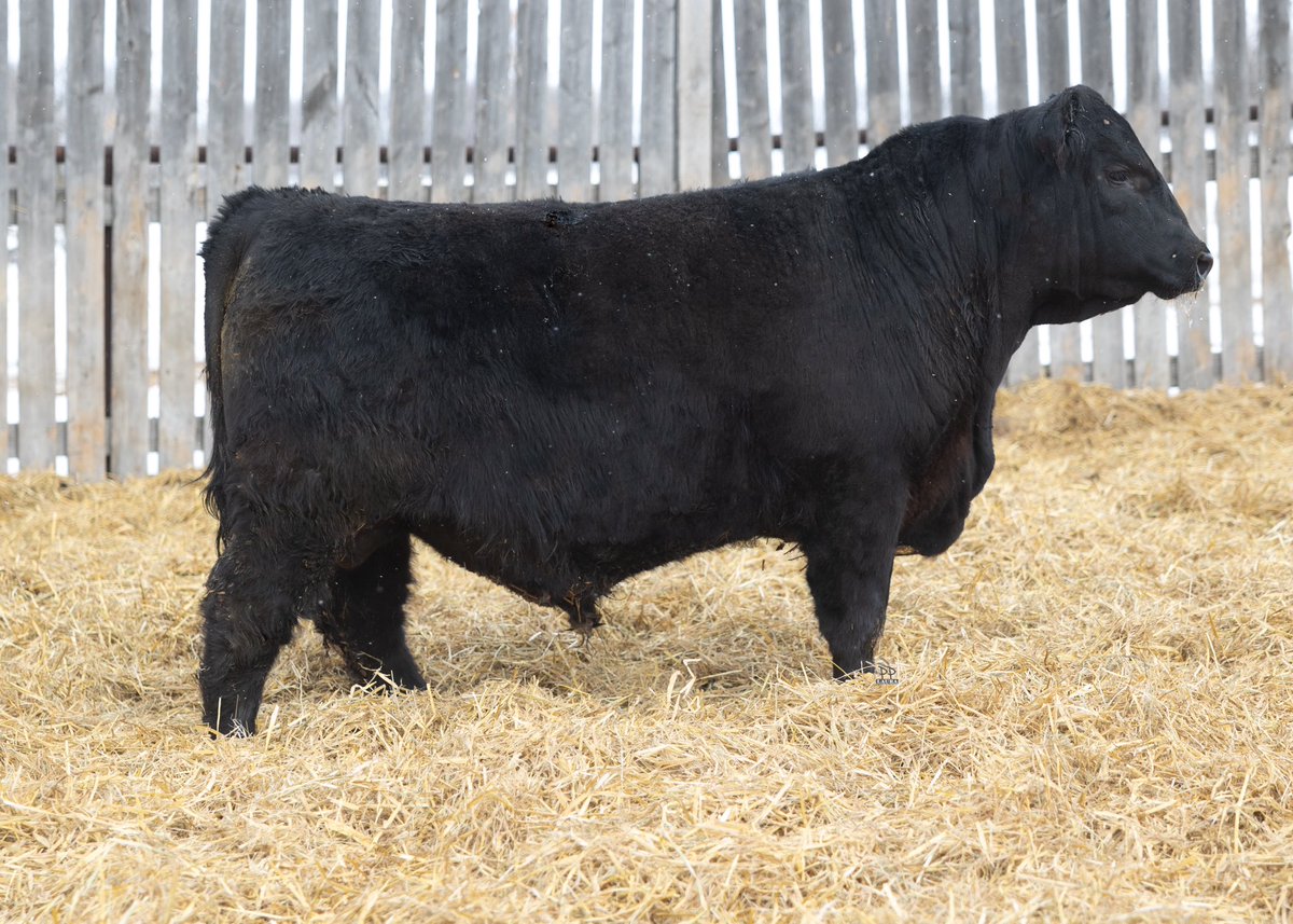 Steven Manns tweet media