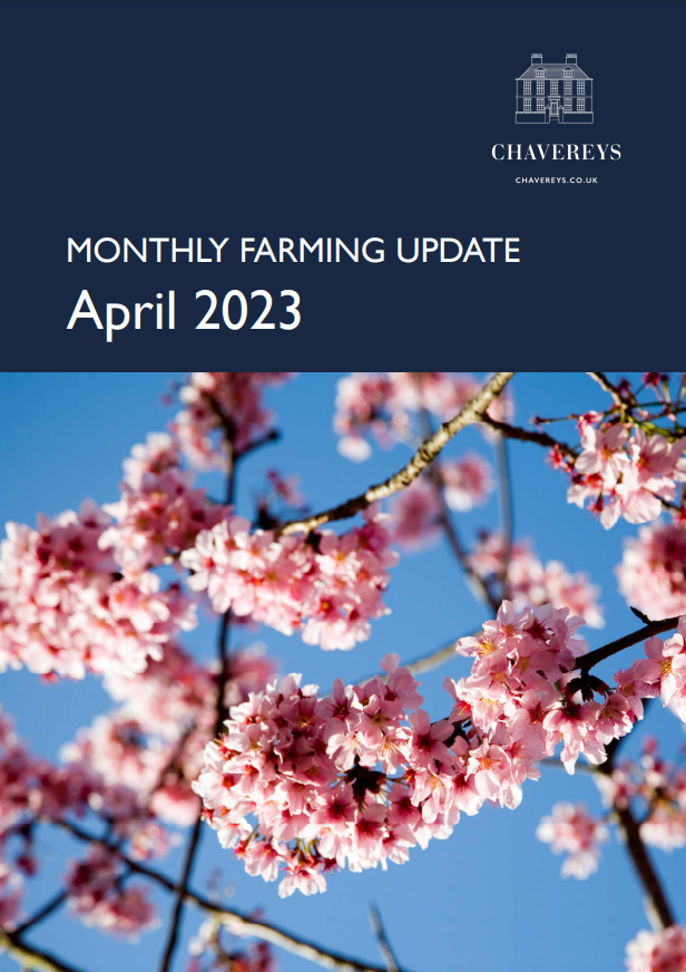 Chavereys tweet media