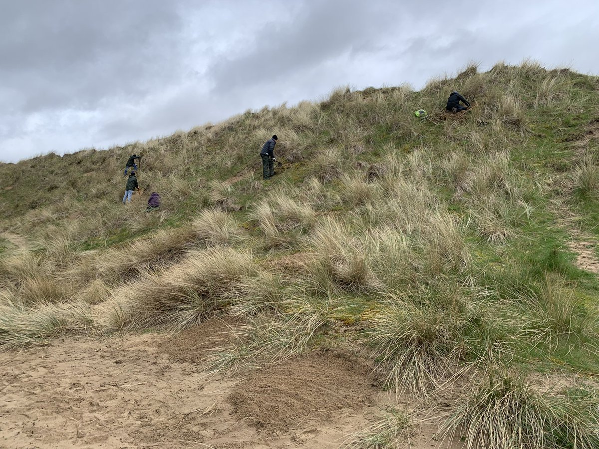 DunesSefton's tweet photo. Volunteers tending to existing sand patches & creating new ones especially for our #SandLizards!🦎
We’re doing this to create more areas of ideal habitat in locations where they already exist to encourage a larger population 🙏🏻
Bring on the warmer weather next week! ☀️👀 https://t.co/7LzZoiVU1h