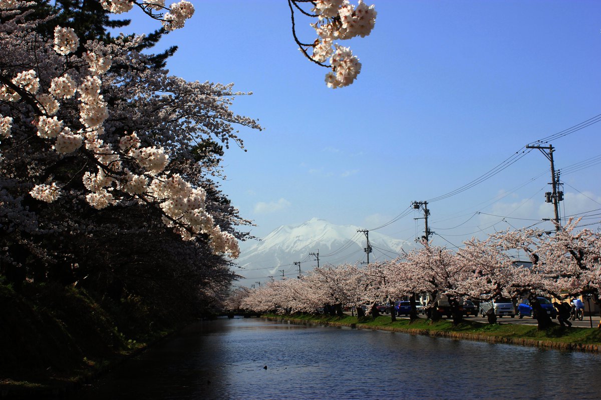 910YUSUKEsansei's tweet photo. この写真を見てどの様な感想を持ちますか？
①桜が綺麗
②岩木山が美しい
③弘前城のお堀と桜と岩木山のマッチングが素晴らしい

私の感想は

「この電線が地中に埋設されたら...その景色を見てみたい。」

そして

「どんな困難があっても何としてもやり遂げたい」

です。

賛同して頂ける方はぜひこのツイートをリツイートして下さい。

＃ちっぽけな声も集まればきっと世界を変えるだろう