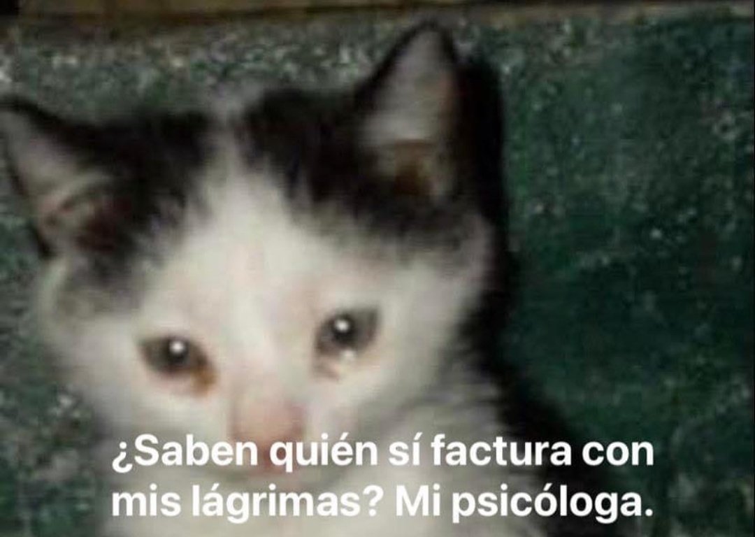 skereunpesado's tweet photo. https://t.co/sm4ticSVR5