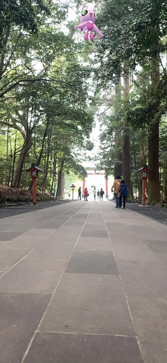 nyn48GO's tweet image. #PokemonGOARplus