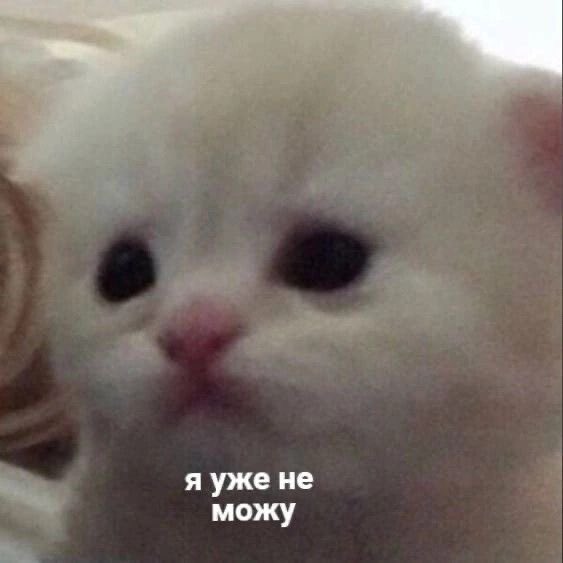 flarifrk's tweet photo. я все продолжаю рисовать и снова пропадать https://t.co/hMNFLkTuG3