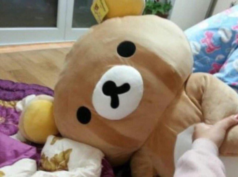 sunpport's tweet image. D-365