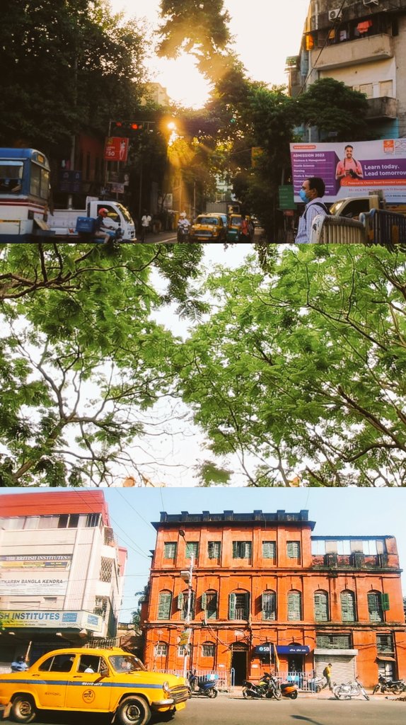 Summer days🌿🔆

#summer #kolkata #sunrays #street