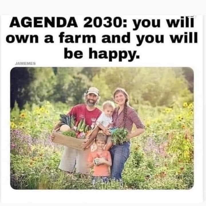 CaliforniaFrizz's tweet photo. That’s more like it 👇🏾🙌🏾👌🏾 https://t.co/XSD7HChnIG