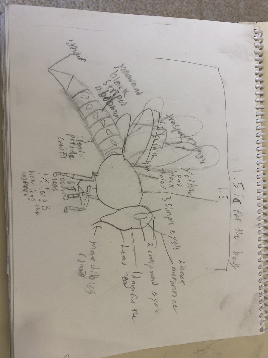 ms_bowersclass's tweet photo. Room 22 is working hard on creating their paper mache flying creatures. We will be showcasing them at our learning assembly May 1. https://t.co/NgYzdcKQFw